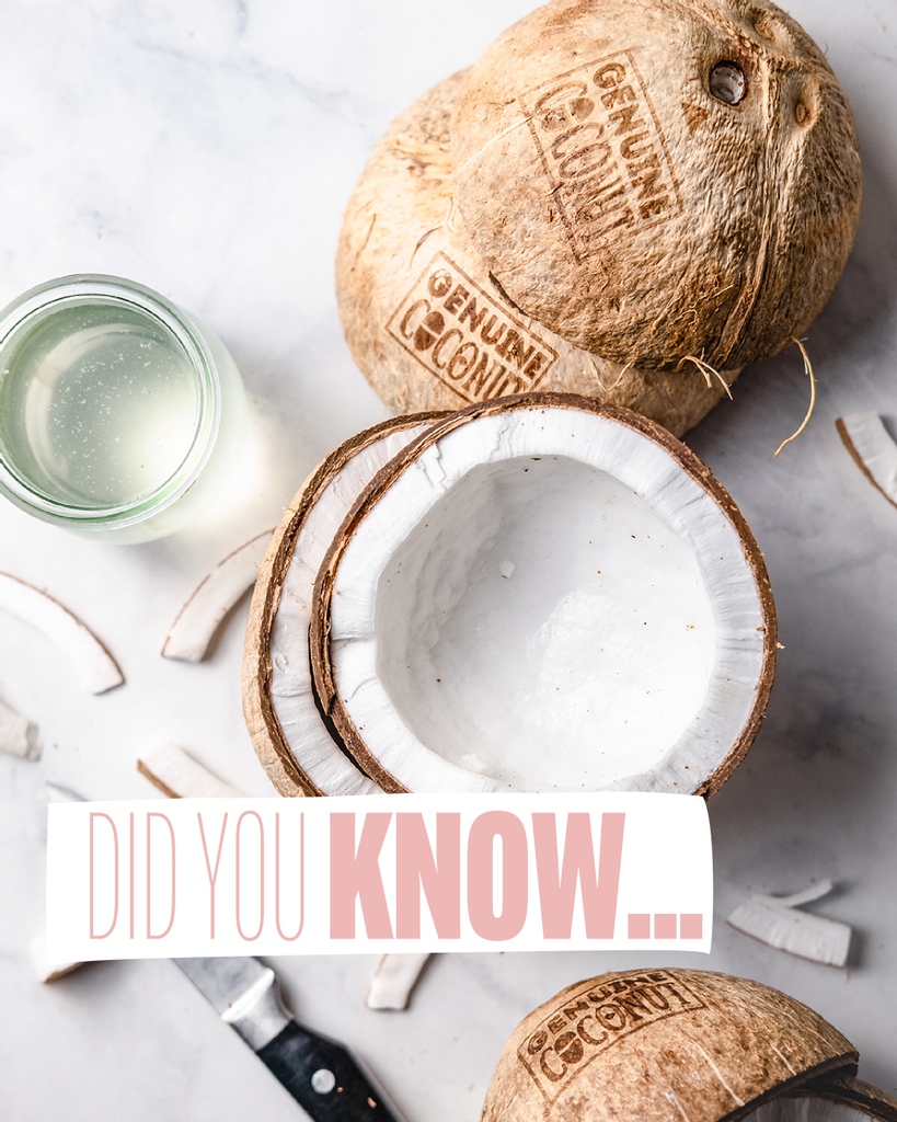 Genuine Coconut (@GenuineCoconut) / Posts / X