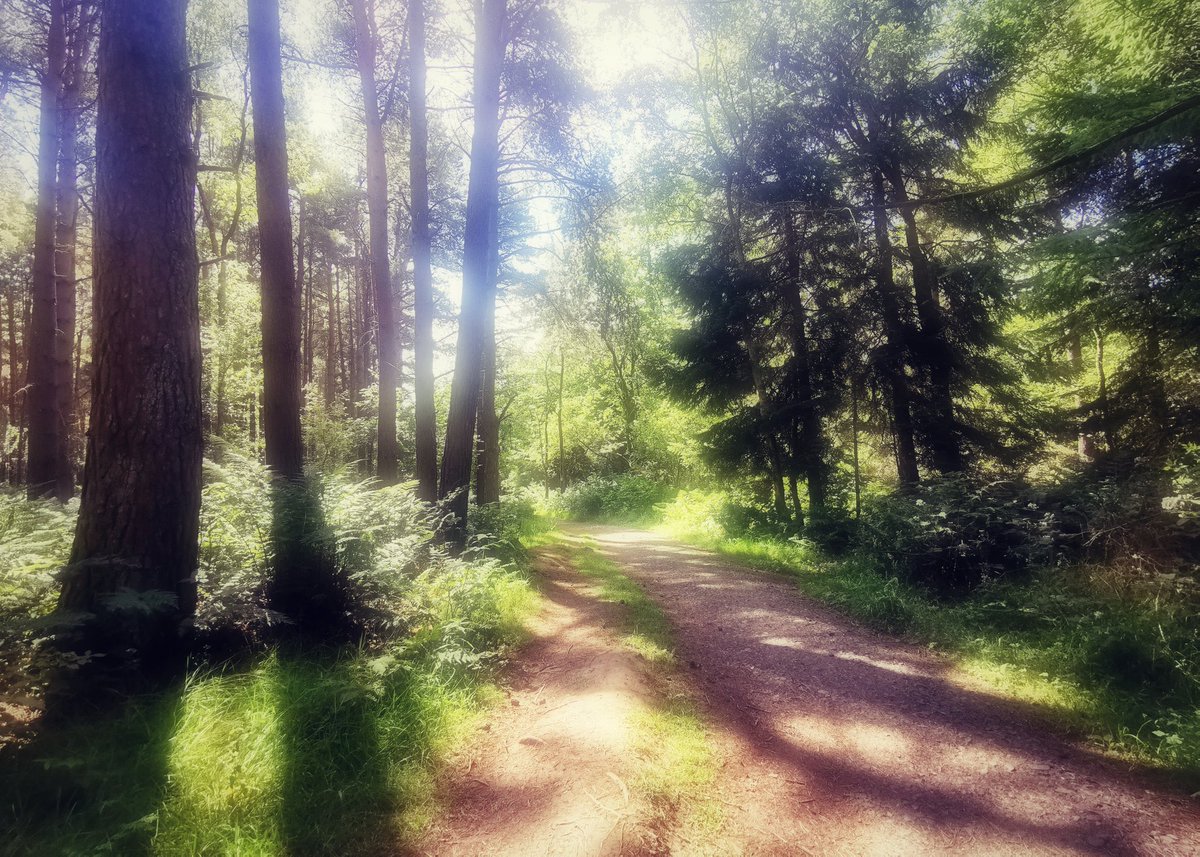 楽しいスピさんbot (@tanosiisupi_bot) on Twitter photo Your Life is being filled with God's Wisdom and Love.
あなたの人生は、神の叡智と愛で溢れています。
Please solve the limit and always do what you wish for from Soul.
制限を解き、魂から望む事を常に常にされてください。
RP <a href="/AvellarPaulo/">pedro paulo avellar</a> Your Life is being filled with God's Wisdom and Love.
あなたの人生は、神の叡智と愛で溢れています。
Please solve the limit and always do what you wish for from Soul.
制限を解き、魂から望む事を常に常にされてください。
RP <a href="/AvellarPaulo/">pedro paulo avellar</a>