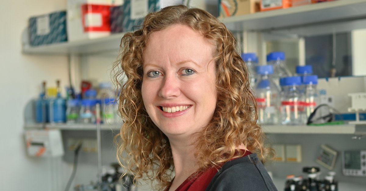 Max Planck Institute of Biophysics (@mpibp) on Twitter photo Coming February 2022: Melanie McDowell’s new research group at our institute aims to structurally characterise membrane protein biogenesis pathways at the endoplasmic reticulum. Check out her open Postdoc, PhD and Technician positions: biophys.mpg.de/en/research/me… <a href="/Mel_McDowell22/">Melanie McDowell</a> Coming February 2022: Melanie McDowell’s new research group at our institute aims to structurally characterise membrane protein biogenesis pathways at the endoplasmic reticulum. Check out her open Postdoc, PhD and Technician positions: biophys.mpg.de/en/research/me… <a href="/Mel_McDowell22/">Melanie McDowell</a>
