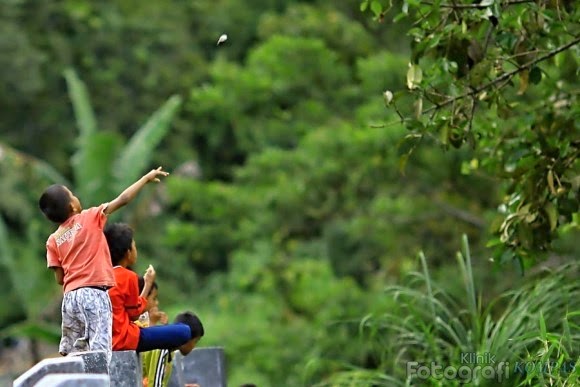 Scarface On Twitter Ku Cuba Cuba Melempar Manggis Manggis Ku Lempar Mangga Ku Dapat Ku Cuba Cuba Melamar Si Gadis Gadis Ku Lamar Boleh Ke Ku Dapat Https T Co N9w3rzu4jv Twitter