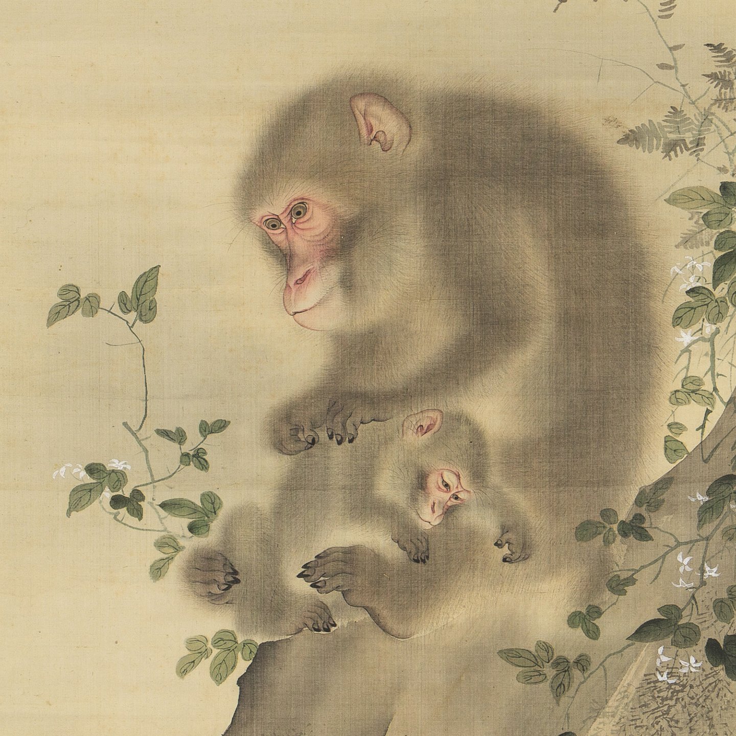 国内外の人気 真作/森派の祖/森祖仙/猿画賛/金襴表装/布袋屋掛軸 絵画