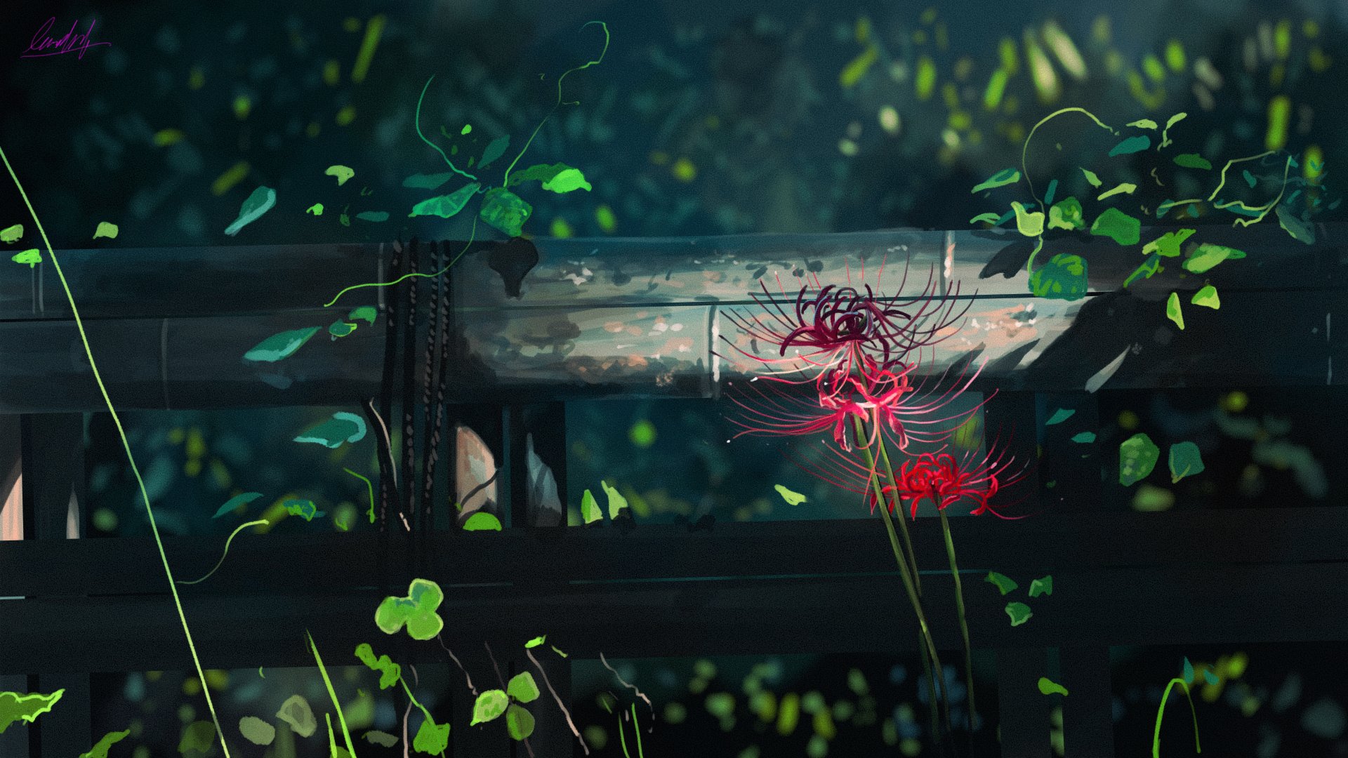 1時間スケッチ
「彼岸花」