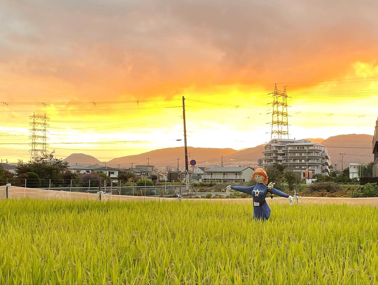 アニメを再現している？金色の野に降り立ったナウシカのかかしwww