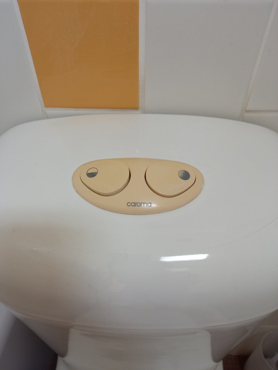 meowdee's tweet photo. Breastfeeding bewbs, as seen on the toilet cistern #iykyk https://t.co/BNjQ1pvi2K