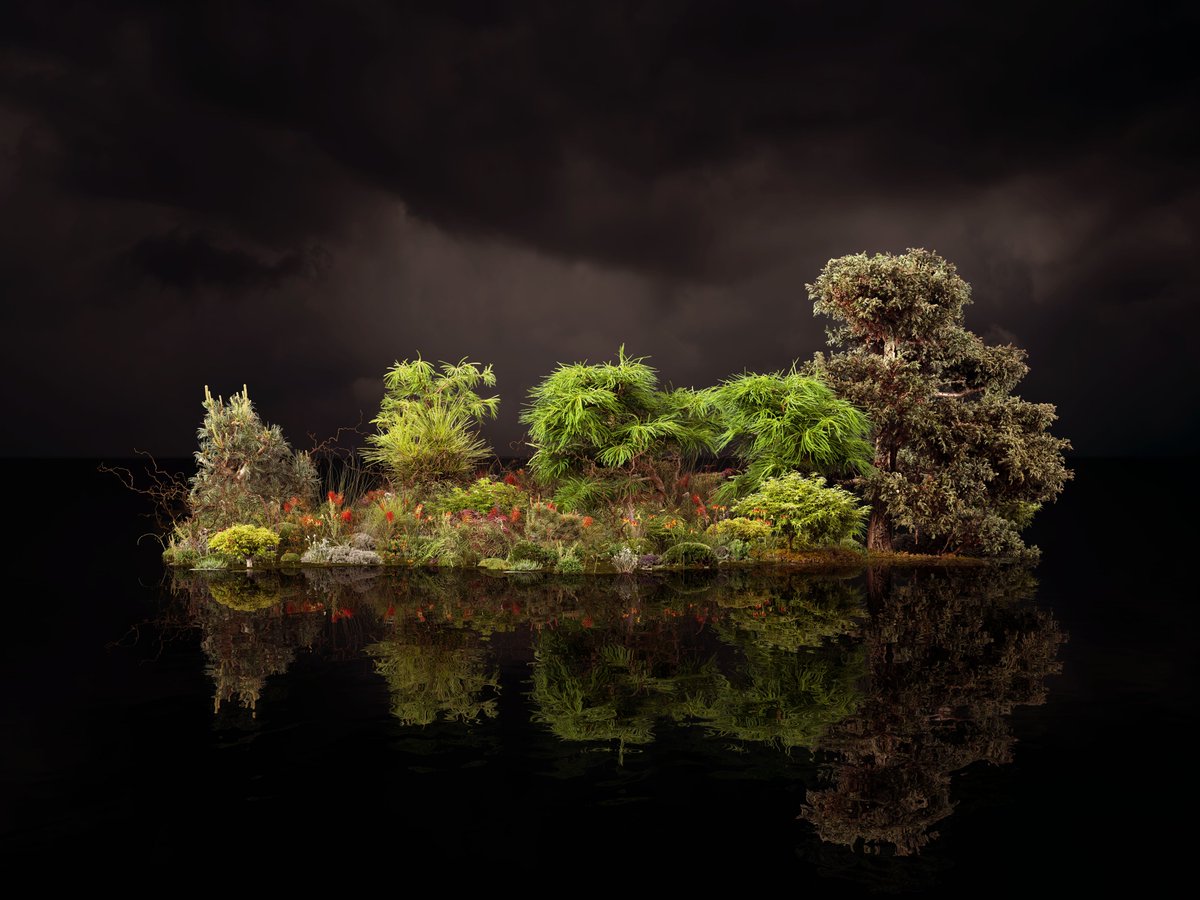 Dutch Igloo tweet media