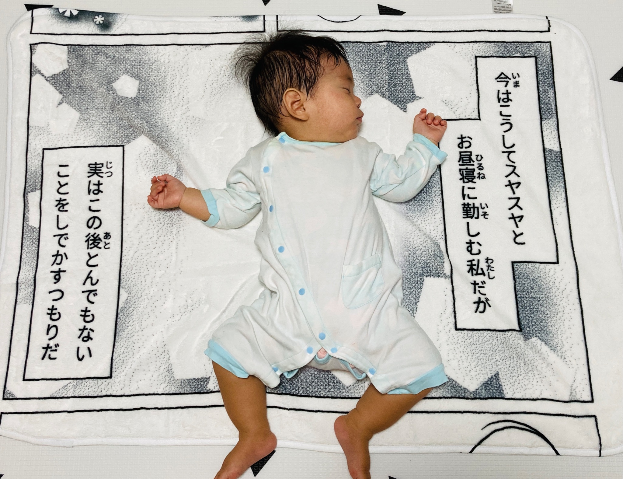 お昼寝コミックブランケット 2個セット 新品未使用品 お昼寝コミックブランケット／狸寝入り〘8月下旬入荷予定分