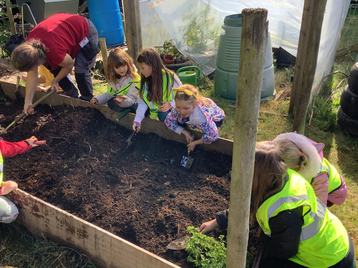 PrimaryParkend's tweet photo. Year 2 on a potato hunt in our allotment this afternoon. https://t.co/zNRLMFGlqC