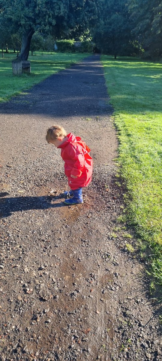 michaellynch321's tweet photo. These two had lots of fun this morning https://t.co/pnPK71zRqb