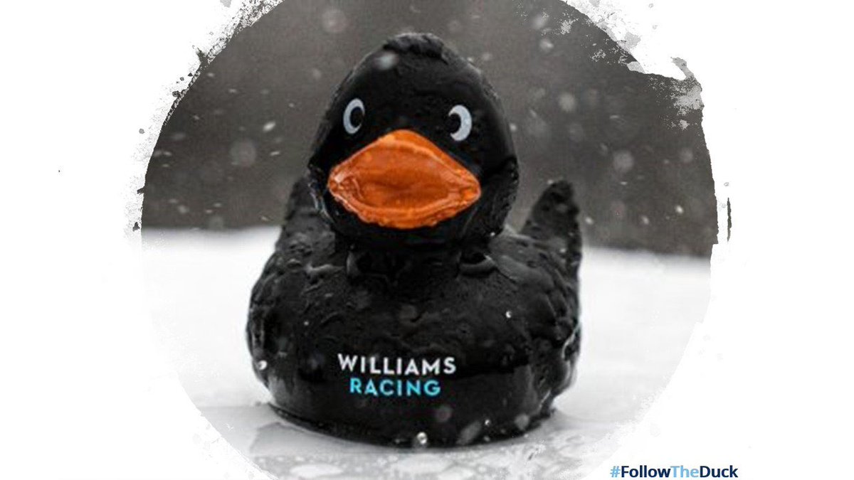 WilliamsF1Duck's tweet photo. @williamsf1 I would have wrapped up and sent you one of my little cousins but Iโve run out and the shop is empty. #HappyBirthdayJost #BringBackTheDuck ๐๐๐ฆ https://t.co/1nfmseT7xU