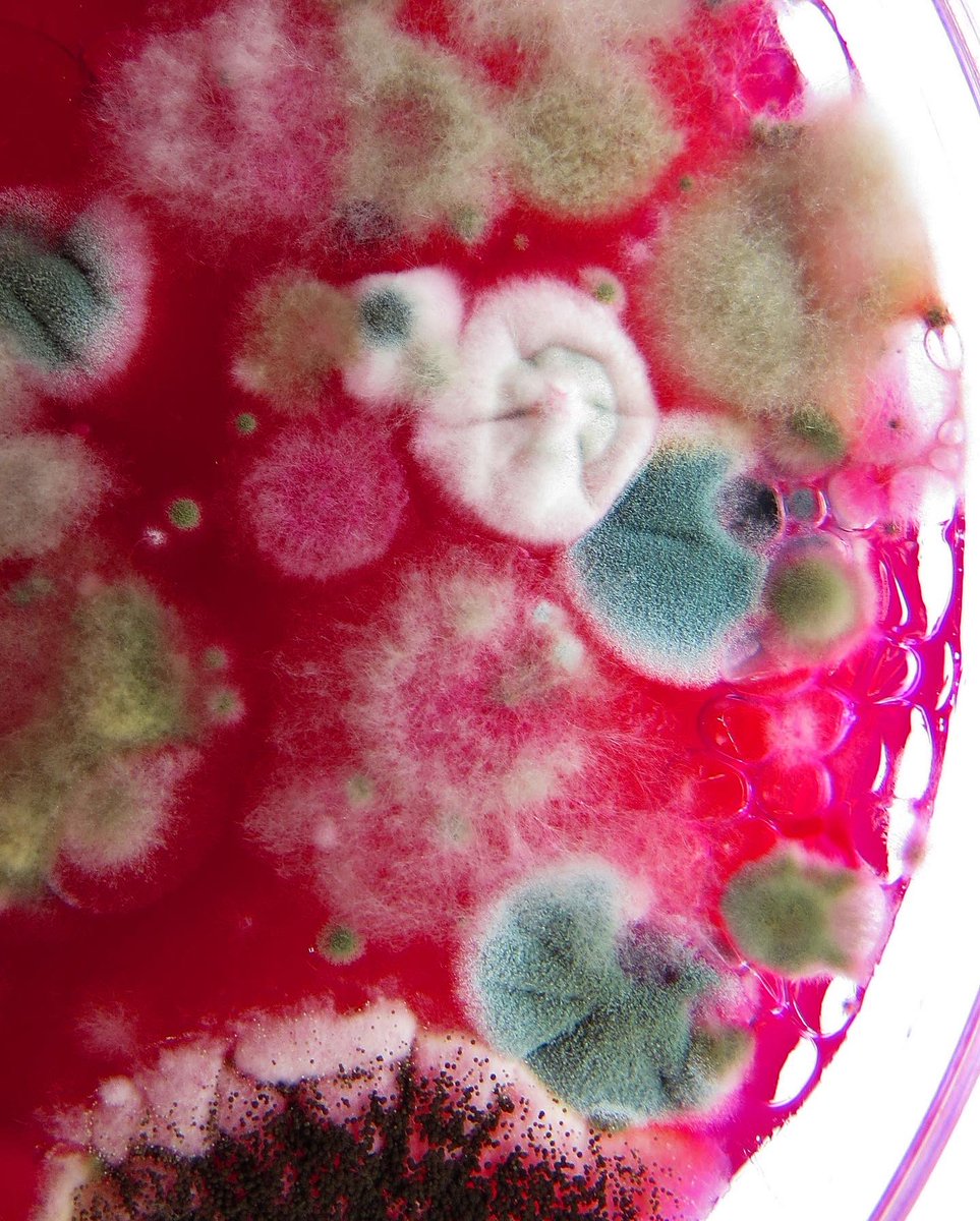 Playing with colours and textures🤤