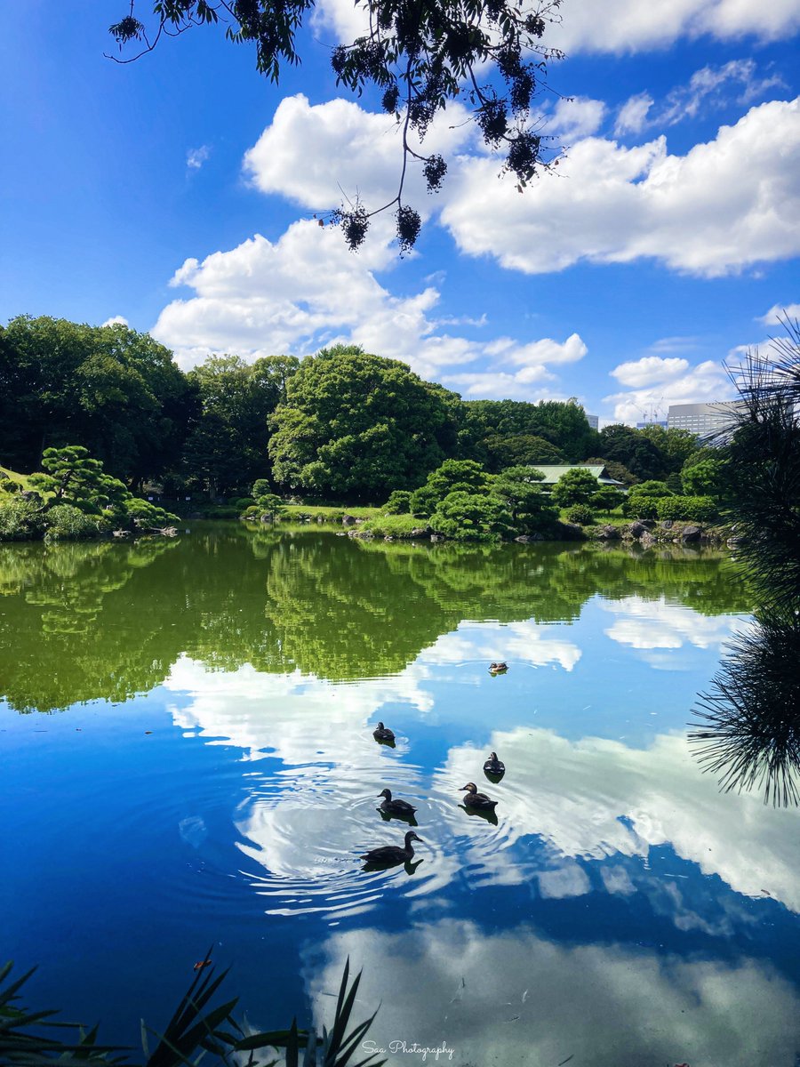 A_Ju_kaaS's tweet photo. 2つの世界 https://t.co/Vmx0UevhaR