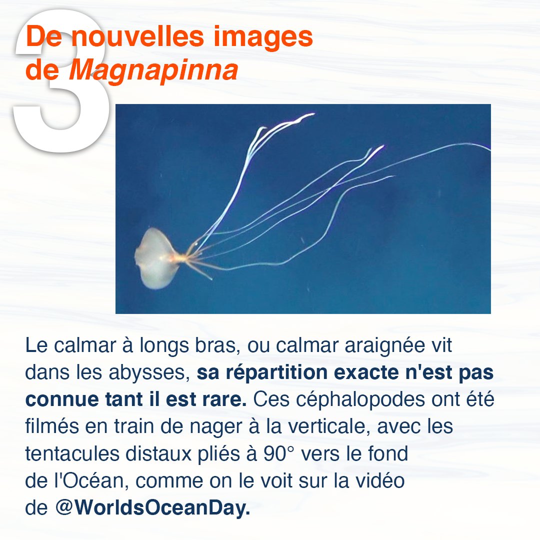 TaraOcean_'s tweet photo. #TARActu 
Retour sur les actualités positives autour de l’Océan et du climat du mois de septembre 🌊

#FondationTaraOcéan #ExplorerEtPartager #Tara #actus #océan #climat #actuspositives https://t.co/LHDlIwt0Lp