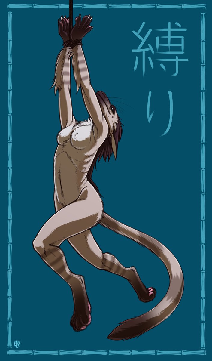 ShibariFex's tweet photo. My Shibari cards

#ArtistOnTwitter #furryart #furryartwork #furry #shibari https://t.co/5l1UAG72op