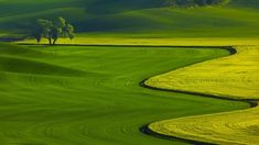 Good evenging everyone🙏🚩🚩🚩🚩
  🌳🍁🌸🍁🌳🍁🌸🍁🌳🍁🌸🍁🌳
🍵🍵🍵🍵🍵🍵🍵🍵🍵🍵🍵🍵🍵🍵🍵🍵🍵🍵🍵🍵🍵🍵🍵🍵🍵🍵🍵🍵🍵🍵🍵🍵🍵🍵🍵🍵🍵🍵🍵🍵🍵🍵🍵🍵🍵🍵🍵🍵🍵🍵🍵🍵🍵🍵🍵🍵🍵🍵🍵🍵🍵🍵🍵🍵🍵🍵🍵🍵🍵🍵🍵🍵🍵🍵🍵🍵🍵🍵🍵🍵🍵🍵🍵🍵