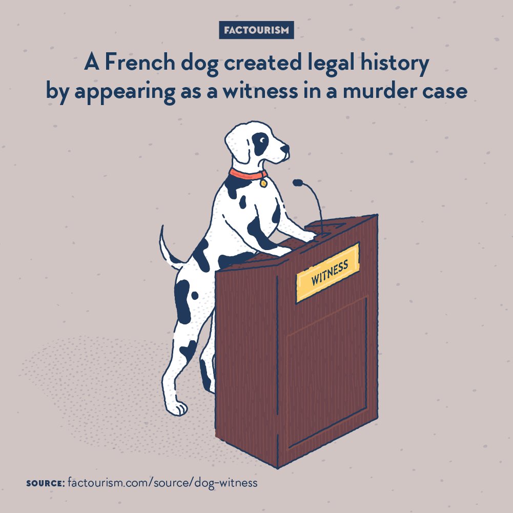 Factourism tweet media