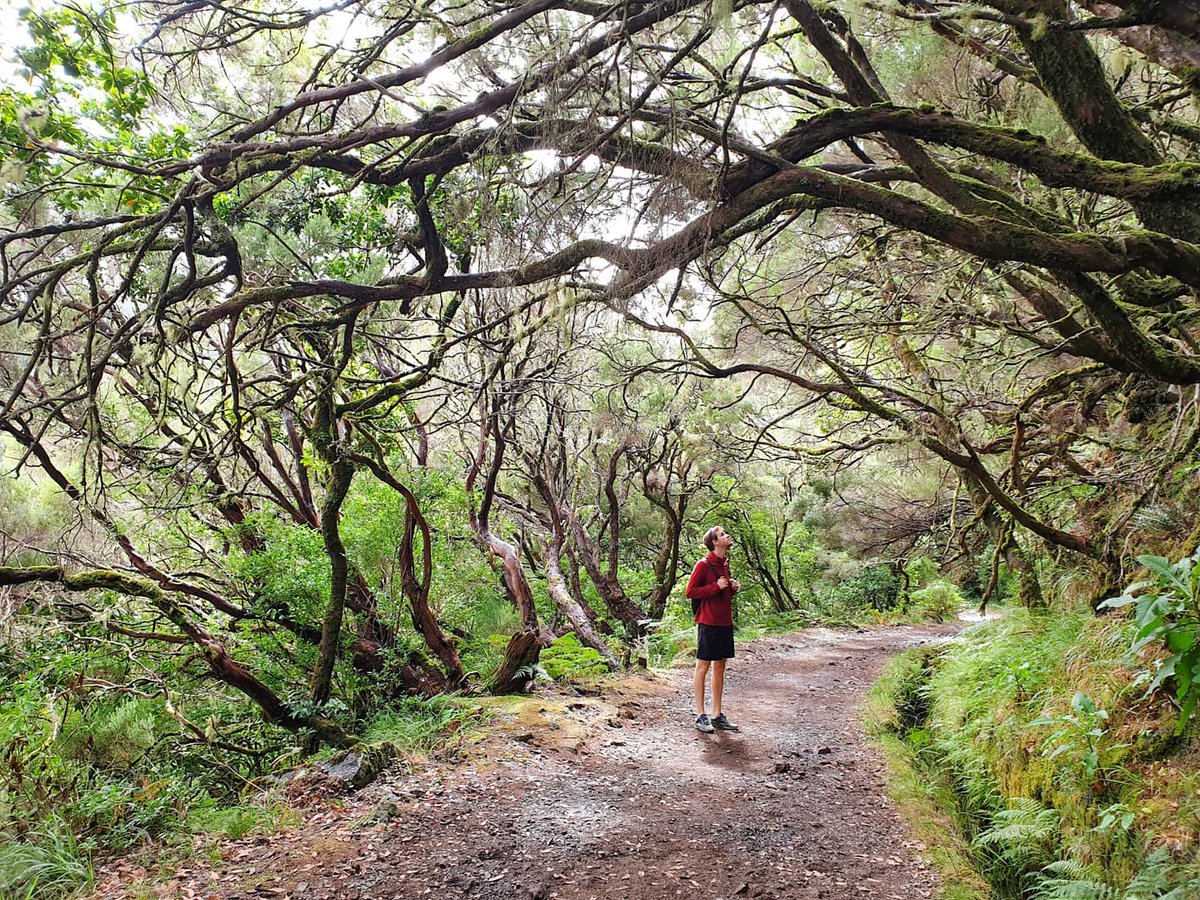 In cammino verso le 25 fonti. 🍃
<a href="/visitmadeira/">visitmadeira</a> #madeiraisland #visitmadeira