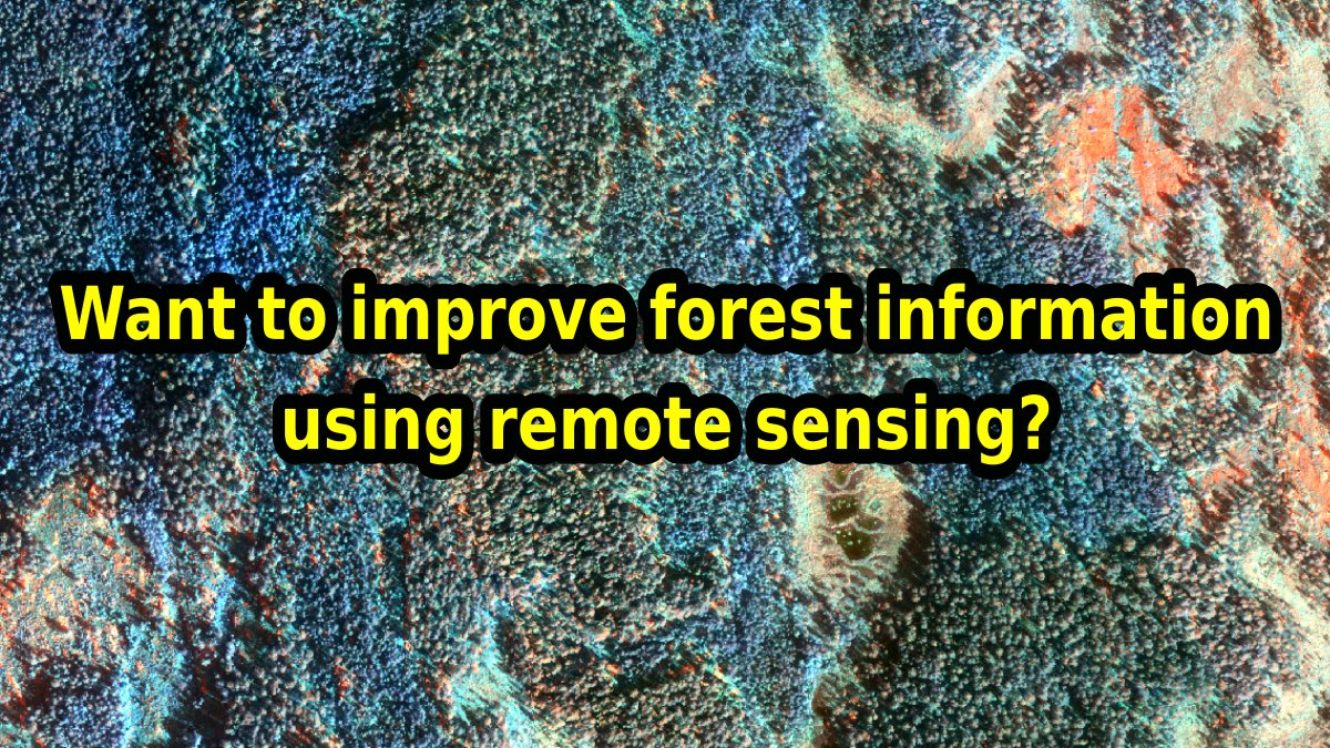 PhD position in improving forest inventory information @UniNMBU and @SmartForest_SFI #treespecies #biodiversity #uncertainty #lidar bit.ly/38Ldtp9