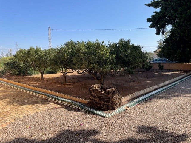 Se vende finca con casa de 300 m2 y pardela de 5.000 m2 aprox. A 10 min. del centro de Cartagena, en carretera de La Palma. Muy cuidada, muebles de principio de siglo XX.