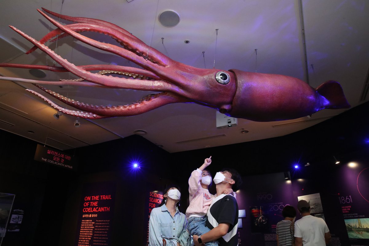 Le_Museum's tweet photo. La 1re grande adaptation internationale de l'#ExpoOcéan 🌊 a lieu à Séoul, au musée pour enfants SangSang TokTok ! 🇰🇷 Un monde méconnu et fascinant s'ouvre aux jeunes visiteurs coréens jusqu'au 6 mars 2022.

Un projet porté par One Punch Art Biz et soutenu par @FranceenCoree. https://t.co/SPBz8RMgsE
