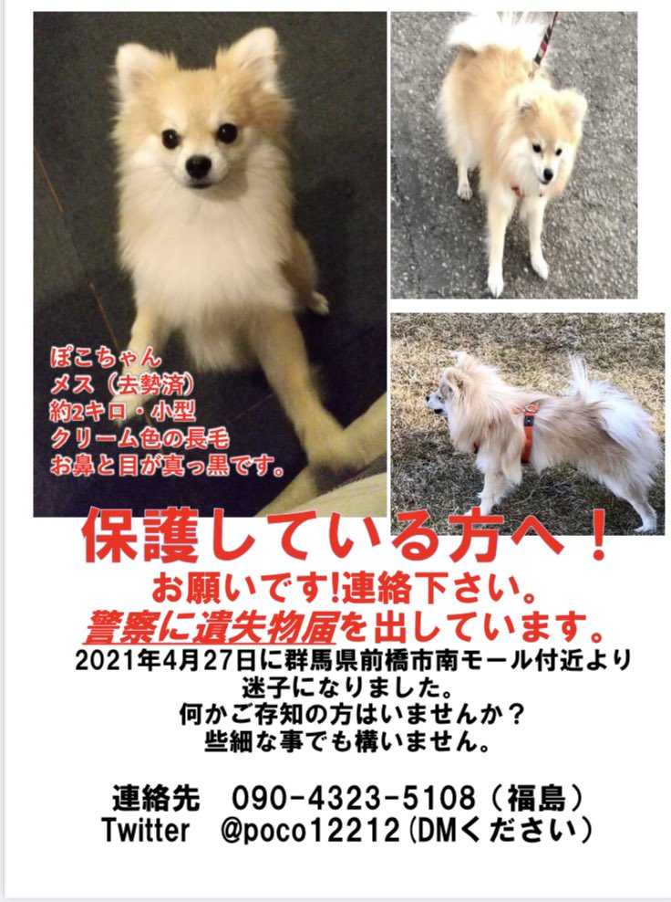 タグ 前橋市 の注目ツイート メガとんトラック