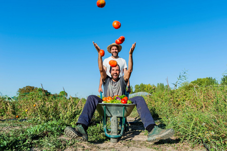 Madrid Km Región tweet media