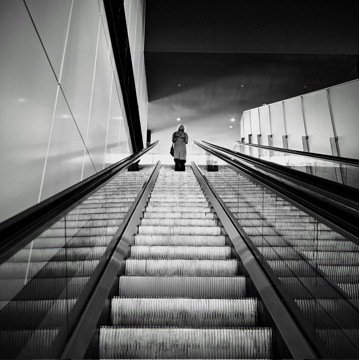 SimplyPrithi's tweet photo. Up.
#blackandwhite #streetphotography #urbanphotography https://t.co/FAt4OPYQJE