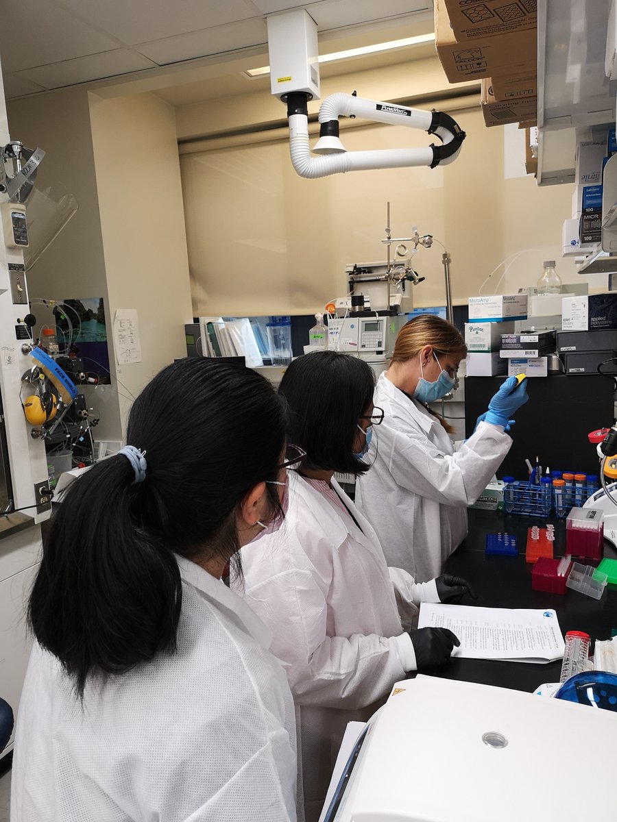 REDINET_Program's tweet photo. REDI-NET personnel from @ento_wrbu and @NotreDame joined the team at @NavalMedicalRC for a two-week collaborative training session on the processing and testing SOPs. #collaborativetraining #trainingiskey #highqualitydata #labtraining https://t.co/KxI4CBKrb6