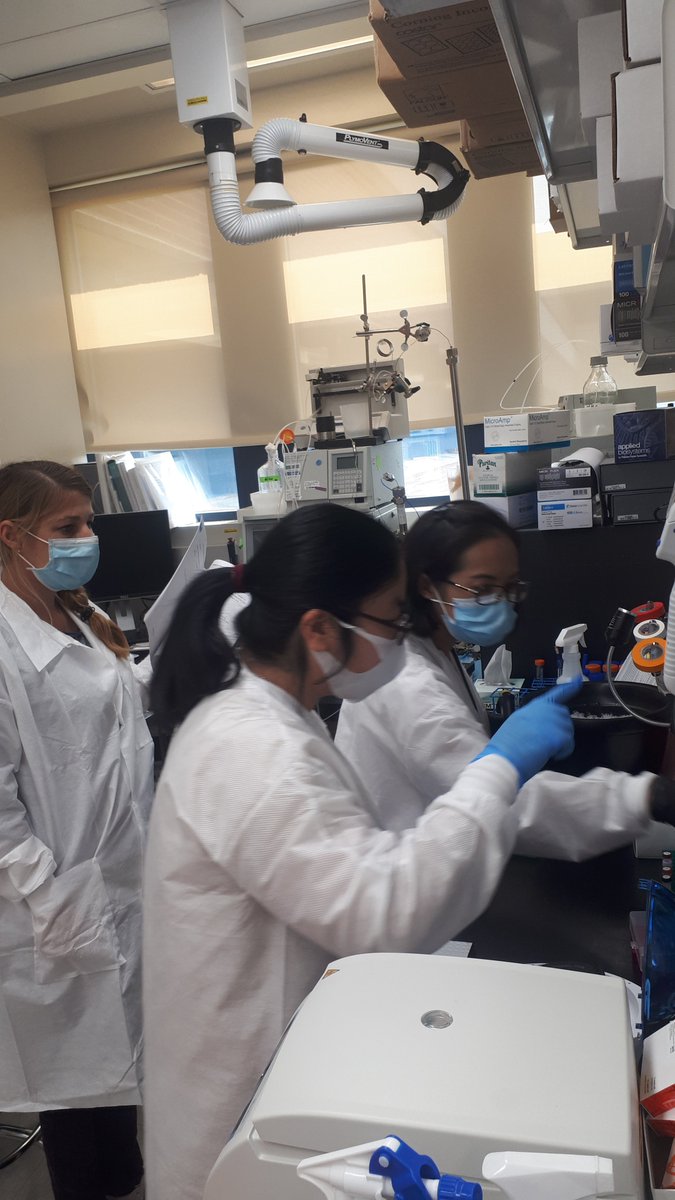 REDINET_Program's tweet photo. REDI-NET personnel from @ento_wrbu and @NotreDame joined the team at @NavalMedicalRC for a two-week collaborative training session on the processing and testing SOPs. #collaborativetraining #trainingiskey #highqualitydata #labtraining https://t.co/KxI4CBKrb6