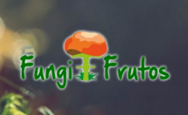 Madrid Km Región tweet media