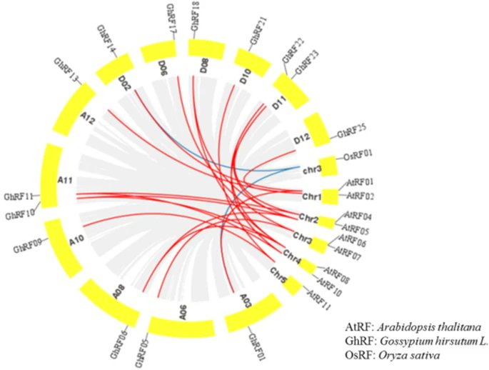 journalPMBP's tweet photo. Online:Genome-wide identification and expression analysis of the 2OG-Fe(II) oxygenase gene family in upland cotton (Gossypium hirsutum L.) @icar_cicr @CottonResearch @IcarCircot #cotton #genomewide #genefamily @HZAU_China @GARNetweets 
https://t.co/4tG4uaqla7 https://t.co/GFUTCWZ6jV