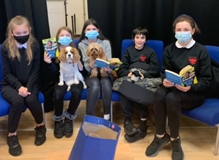 PupilSupportDGS's tweet photo. Our Paws to Read groups are going well. Reading with dogs helps motivate reading by increasing relaxation and confidence, it offers a non-judgemental calming environment which then helps build confidence in reading out loud in other areas of the curriculum. https://t.co/YrZEsU0SV6