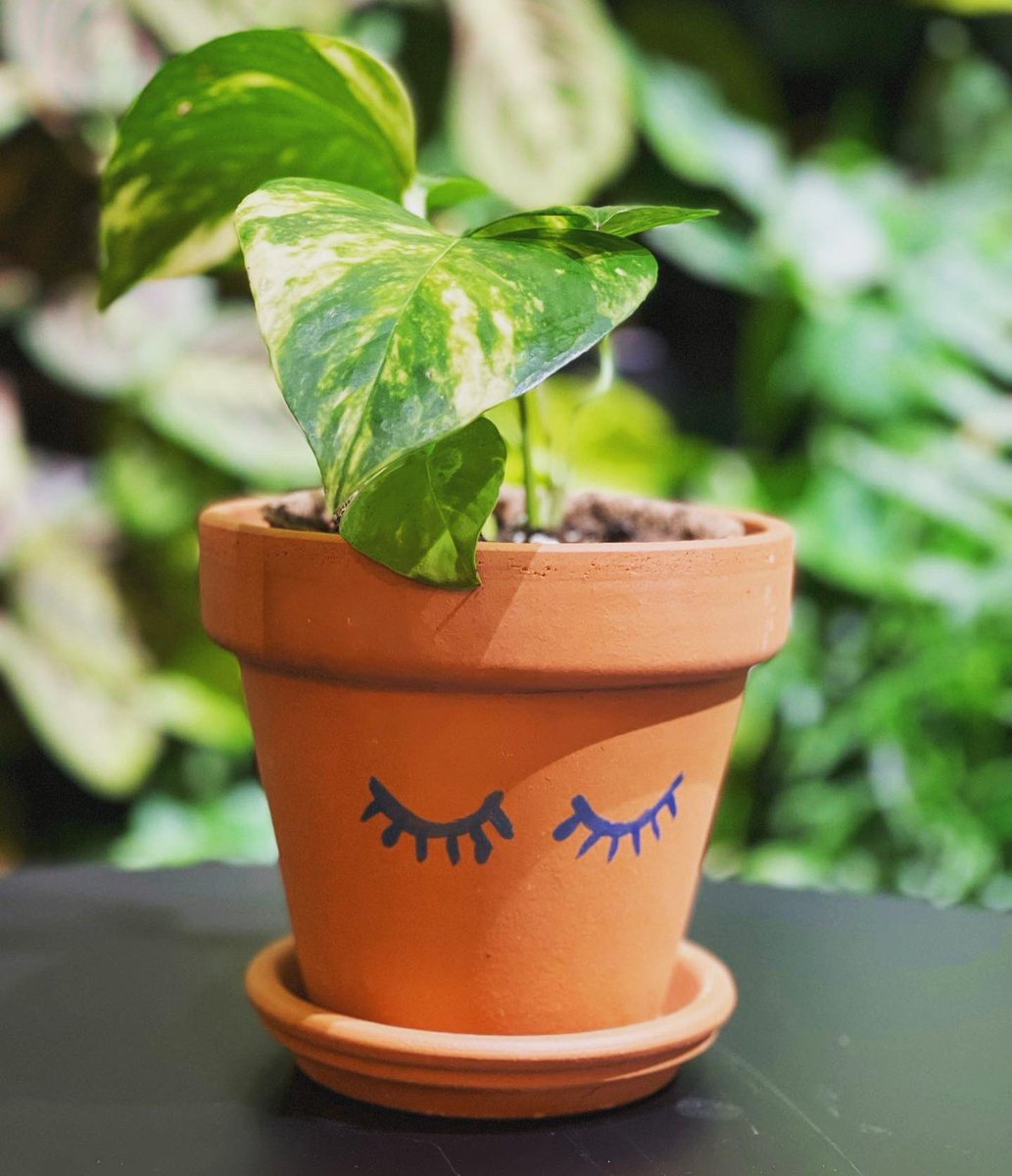 Grow My Wellbeing tweet media