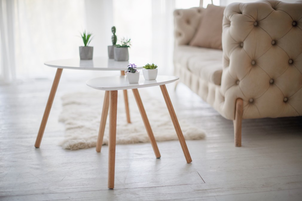 🌵 𝗟𝗢𝗦 𝗖𝗔𝗖𝗧𝗨𝗦 𝗘𝗦𝗧𝗔́𝗡 𝗗𝗘 𝗠𝗢𝗗𝗔 🌵 ¿Quieres unos consejos para una decoración perfecta? 🧡 Pásate por nuestro blog y disfruta de nuestras IDEAS DE DECORACIÓN. 🤩

👉cuorebello.es/blog/decorar-c…

#decoracion #decoracioninteriores #decoracionhogar