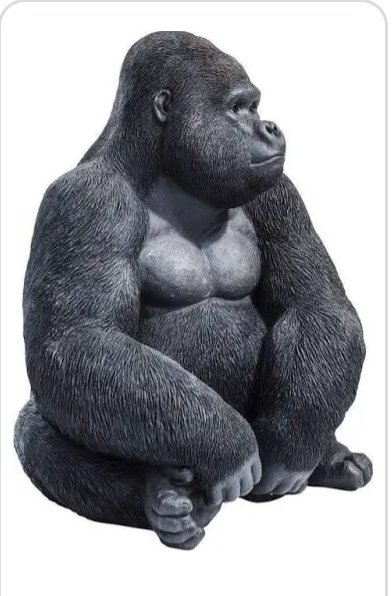 meteosergio1's tweet photo. #lariachetirala7 fatemi capire a cosa è servita la presenza di #CecchiPaone se non a fare il muso duro contro un medico che ne sa milioni di volte più di lui "divulgatorescientifico" gorilla! #29Set @myrtamerlino https://t.co/p0RDyjMK4m