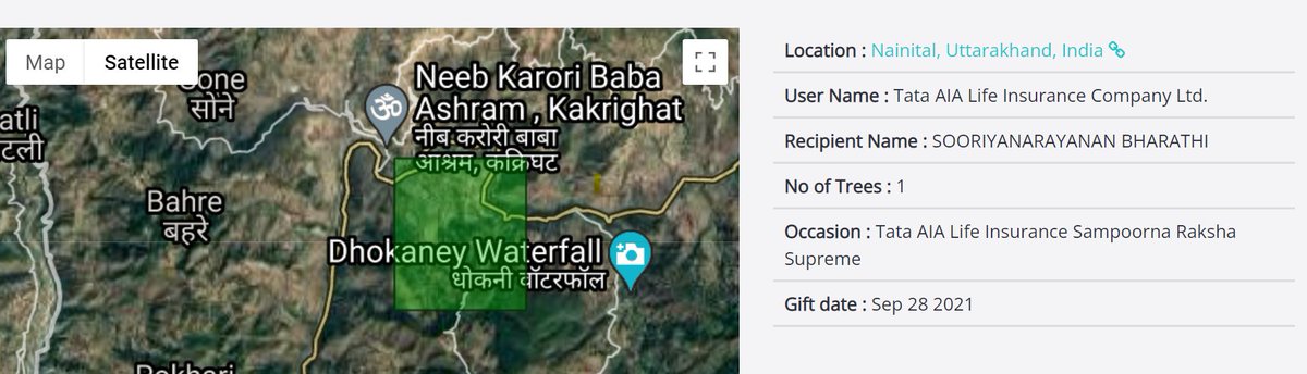 MrCoff333's tweet image. @grow_trees One Family Tree!!! Thank You🙏🙏🙏

#TreesForOurPlanet