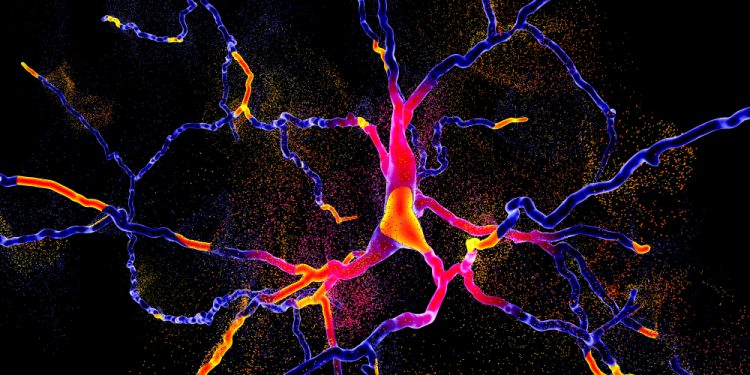DrugTargetRev's tweet photo. Sinopia has been awarded a $3.3 million Fast-Track SBIR grant to fund the study for its small molecule candidate for Parkinson’s disease. 
#parkinsonsdisease #funding #preclinicalstudy
Learn more here: https://t.co/VgeOrVimmN https://t.co/OXB1OxT660