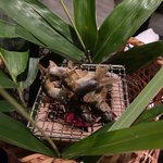 ツイートに含まれる画像