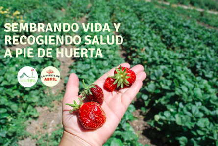 Madrid Km Región tweet media