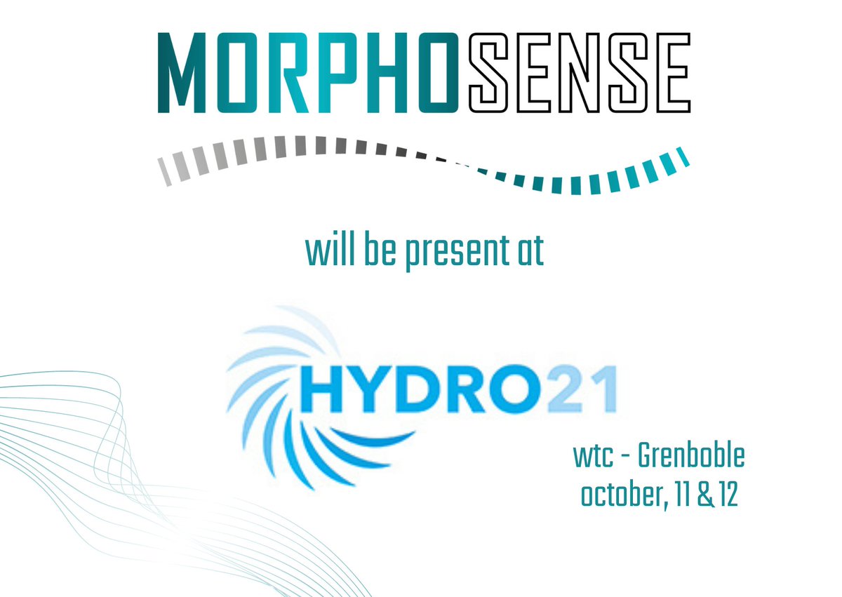 Morphosense tweet media