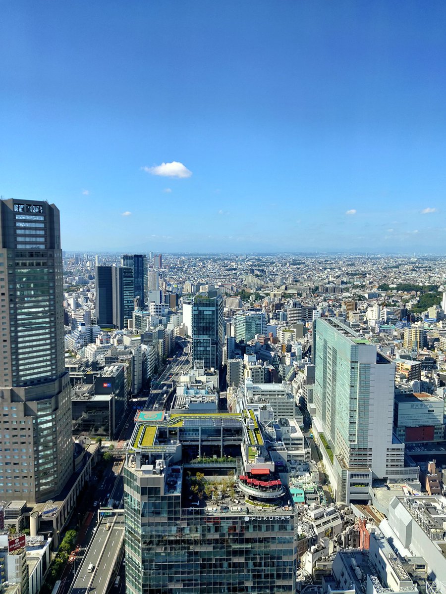 今日は窓際社員をやってました