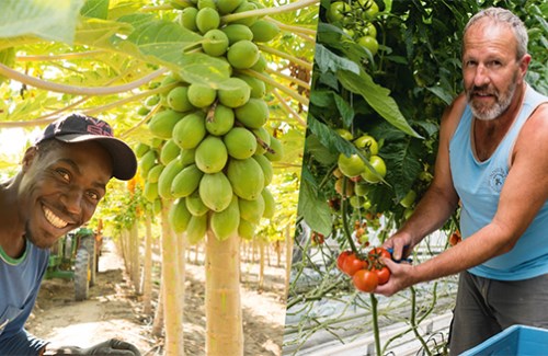 Hoe kan je boeren sterker maken? Welke hefbomen heb je als consument in handen om ze wereldwijd te versterken? Welke rol hebben fair trade en korte keten hierin? Doe mee met dit event van <a href="/provinciewvl/">Provincie West-Vlaanderen</a> en je komt alles te weten! Info en inschrijvingen: west-vlaanderen.be/formulier/goed…