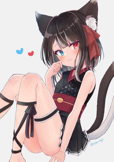 ぬこたちゃんかわいい! #ぬこなつなぁと 