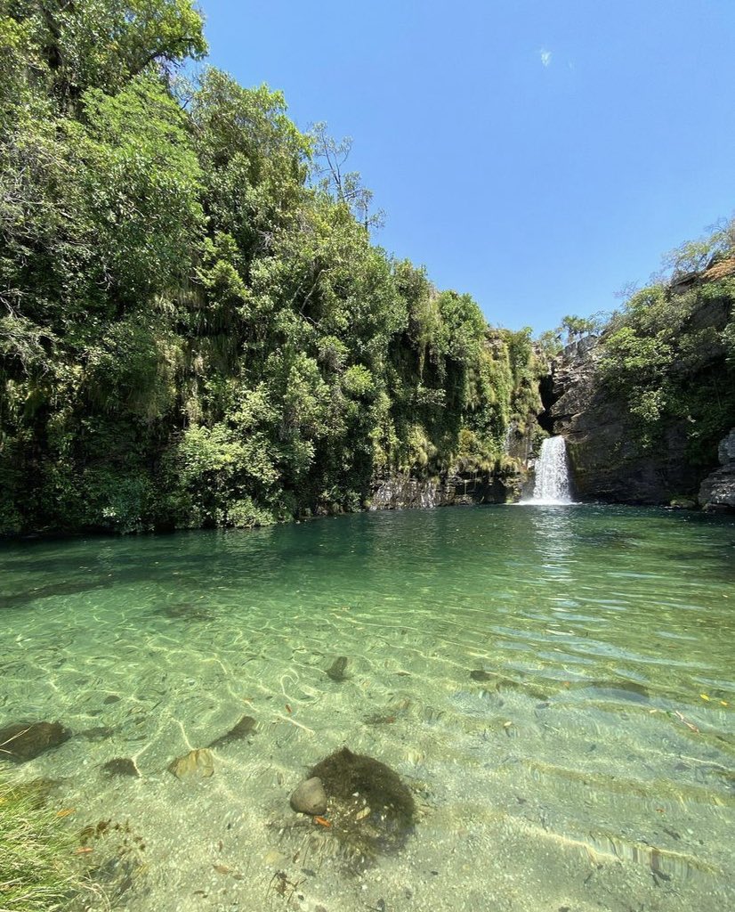 waterfallbr's tweet photo. Cachoeira Rei do Prata, Cavalcante - GO
O complexo rei do prata conta com 7 cachoeiras 🇧🇷 https://t.co/8lFNzwwMwF
