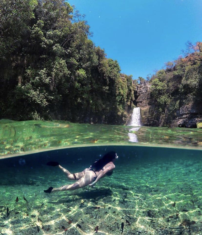 waterfallbr's tweet photo. Cachoeira Rei do Prata, Cavalcante - GO
O complexo rei do prata conta com 7 cachoeiras 🇧🇷 https://t.co/8lFNzwwMwF