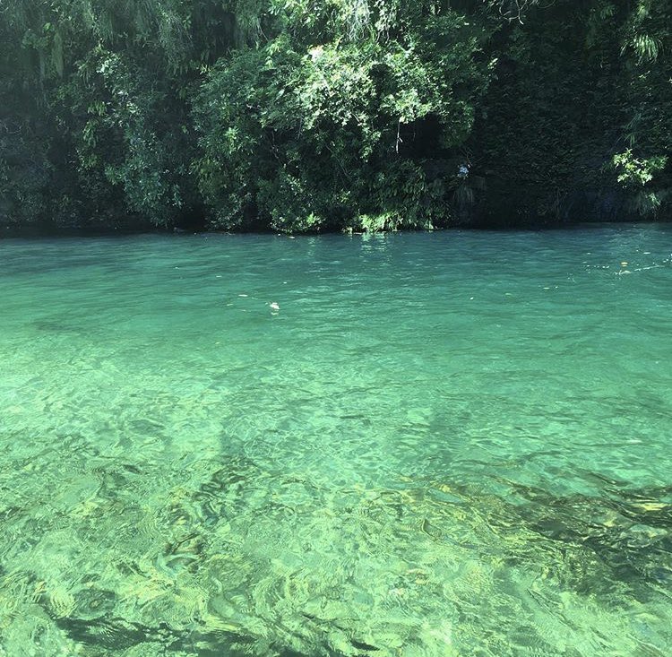 Cachoeira Rei do Prata, Cavalcante - GO
O complexo rei do prata conta com 7 cachoeiras 🇧🇷