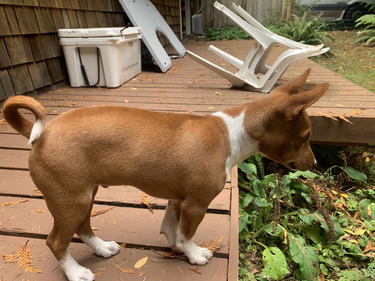 Sandy Clark tweet media