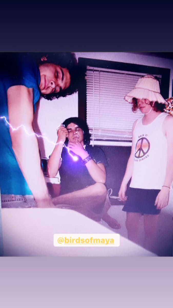 PurlingHiss's tweet photo. #birdsofmaya in 2004? https://t.co/vn8ek5Tt7N