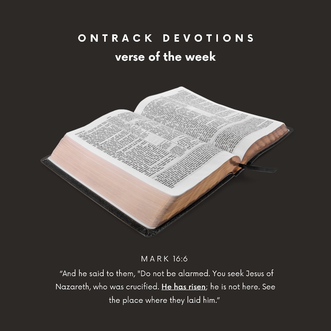 ontrackdevos's tweet image. He is Risen! 
Have you been keeping up with our study on Mark this month? 

#dailydevos #devotional #ontrackdevos #biblestudy