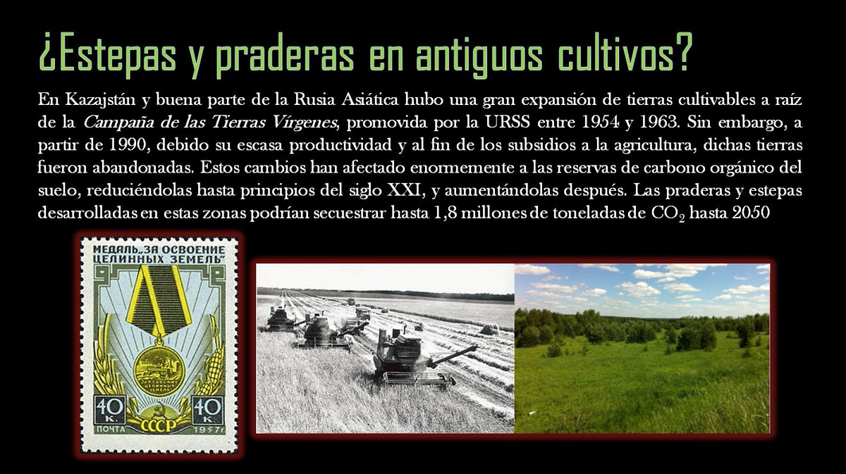 edufor_'s tweet photo. Algunos ecosistemas poco llamativos, como las praderas y estepas de Asia Central, tienen un potencial de secuestro de #carbono mayor del que pensamos. Rolinski y colaboradores, de @PIK_Climate @iamoLeibniz lo muestran aquí. 👉#AbandonoAgrícola #CASE_CO2 https://t.co/yeoBQ4zHoo https://t.co/rCePGyYHjy