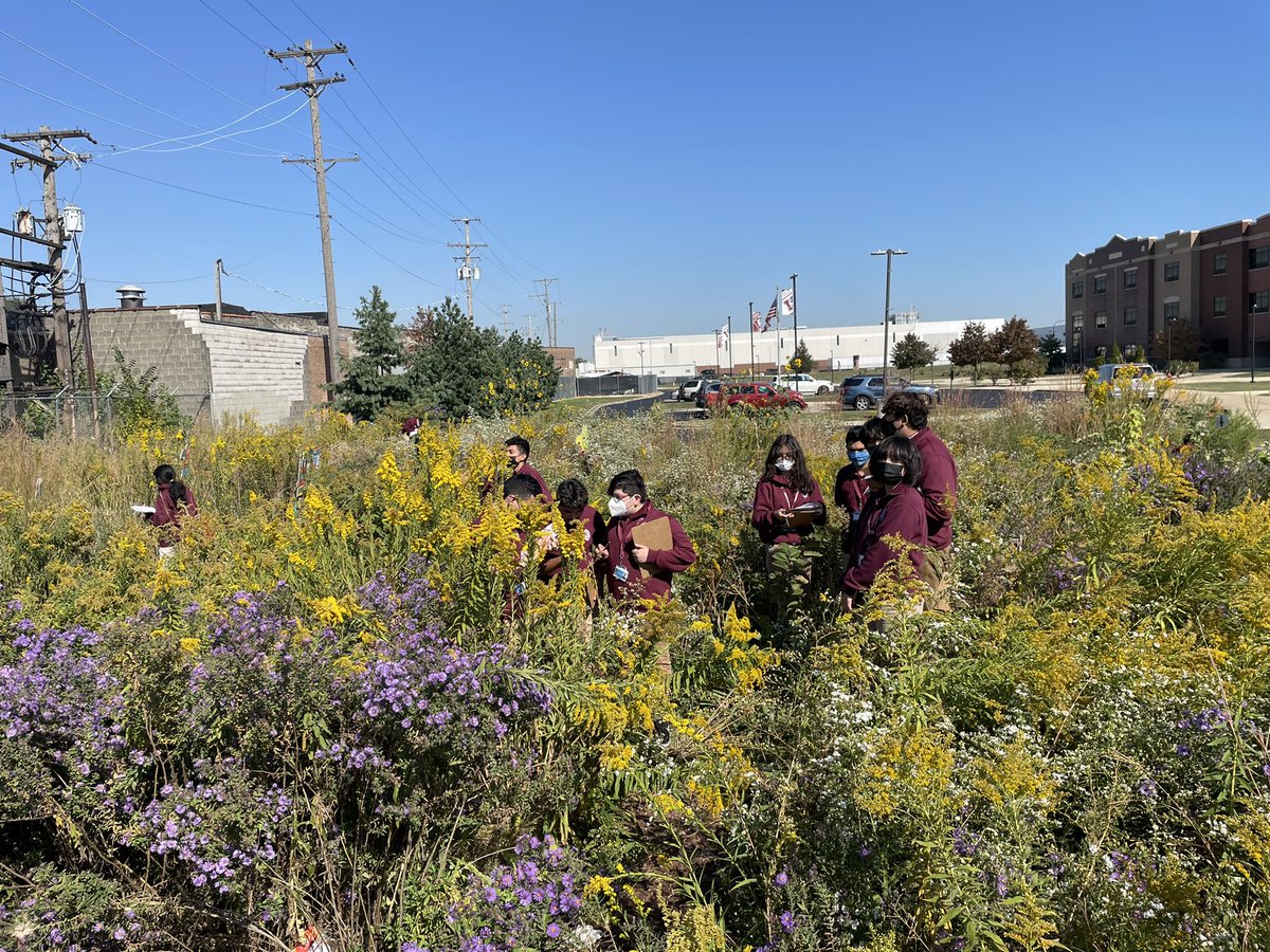Beautiful day to investigate the gardens. #MortonPride